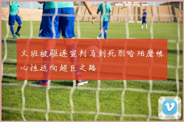 文班被驱逐宣判马刺死刑哈珀磨练心性迈向超巨之路
