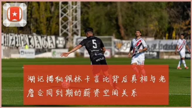 湖记揭秘佩林卡言论背后真相与老詹合同到期的薪资空间关系