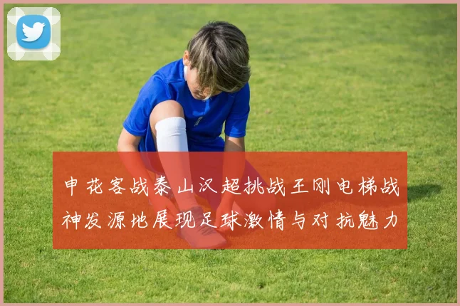 申花客战泰山汉超挑战王刚电梯战神发源地展现足球激情与对抗魅力